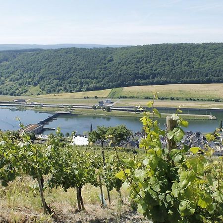 Ferienhaus Moselblick Mit Kostenfreien Oepnv-Ticket Ürzig Buitenkant foto