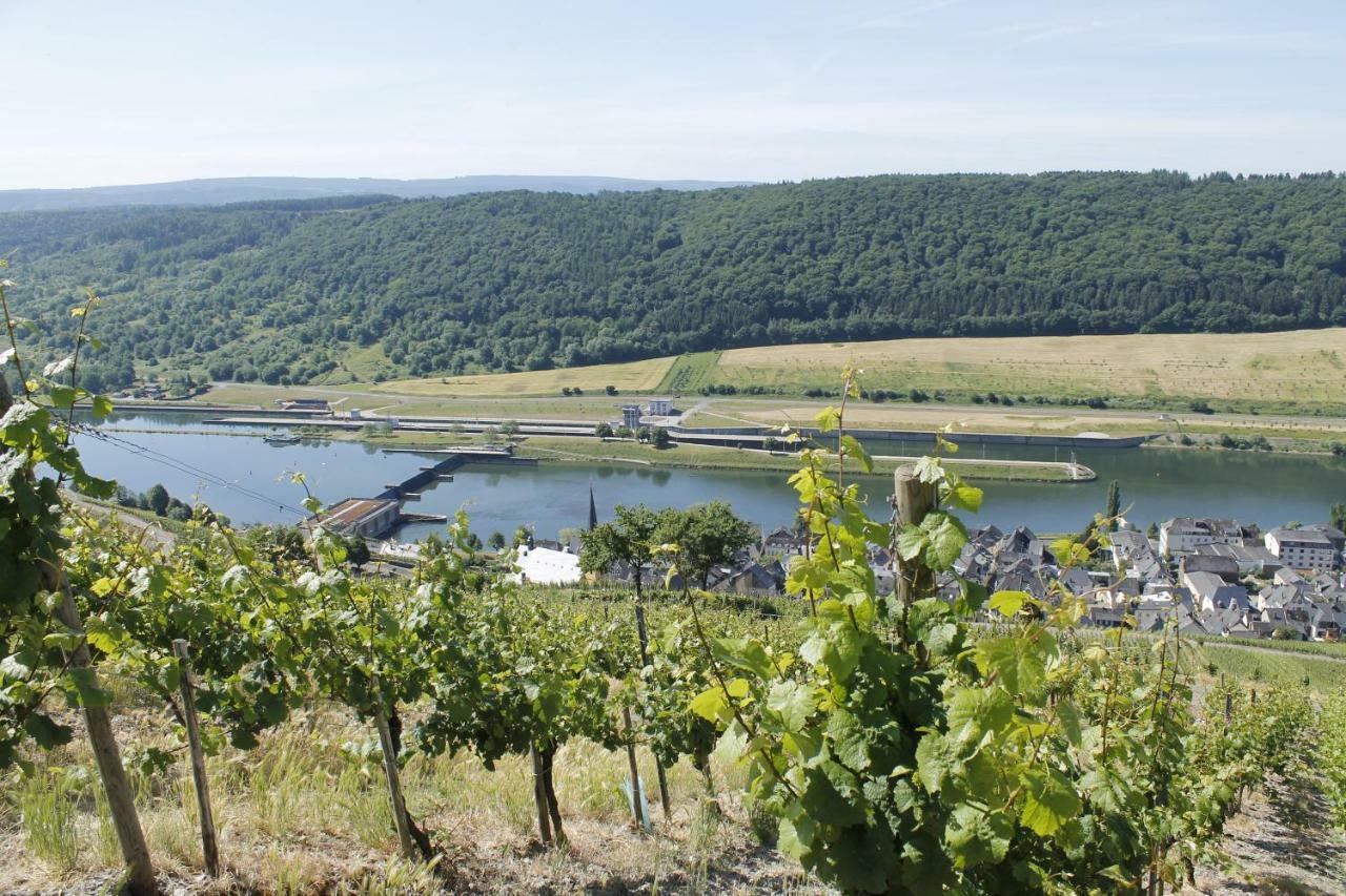 Ferienhaus Moselblick Mit Kostenfreien Oepnv-Ticket Ürzig Buitenkant foto