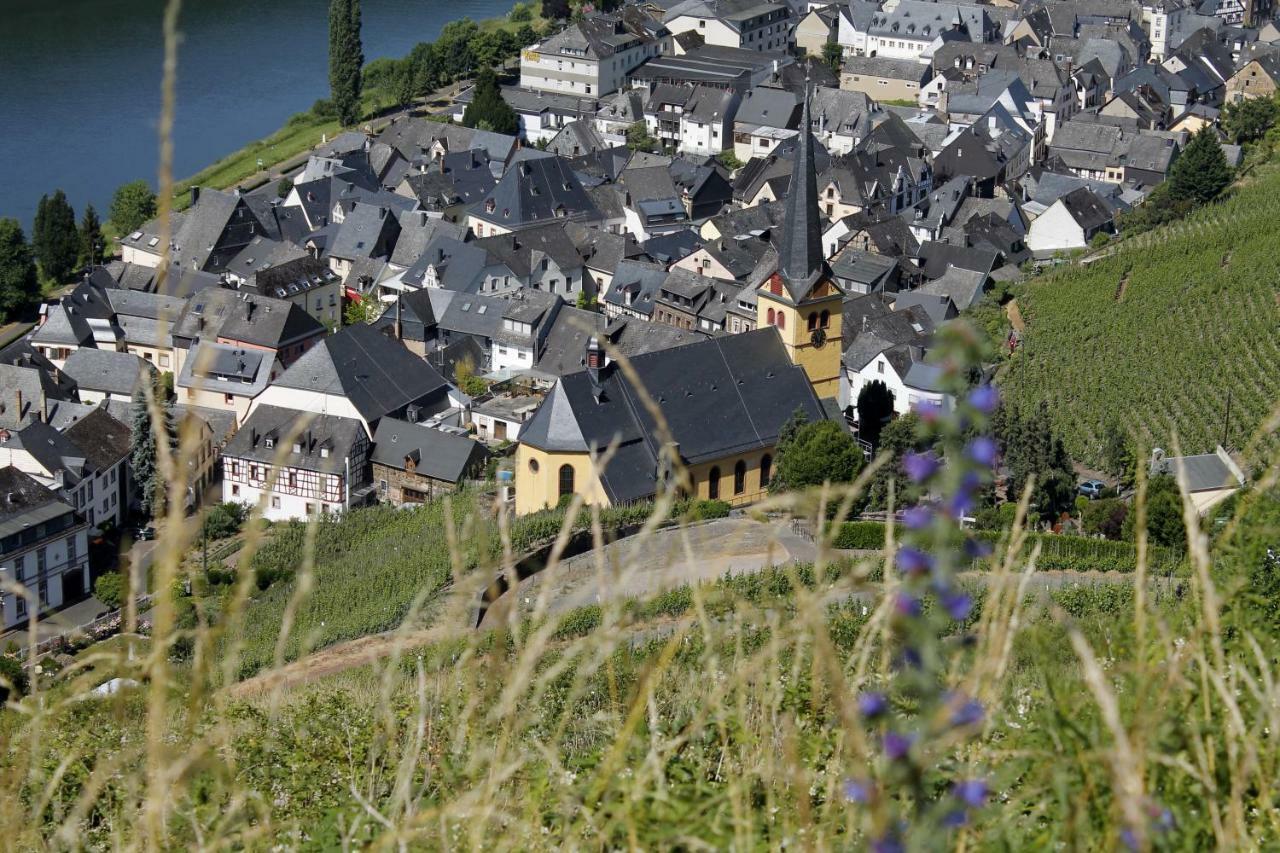 Ferienhaus Moselblick Mit Kostenfreien Oepnv-Ticket Ürzig Buitenkant foto