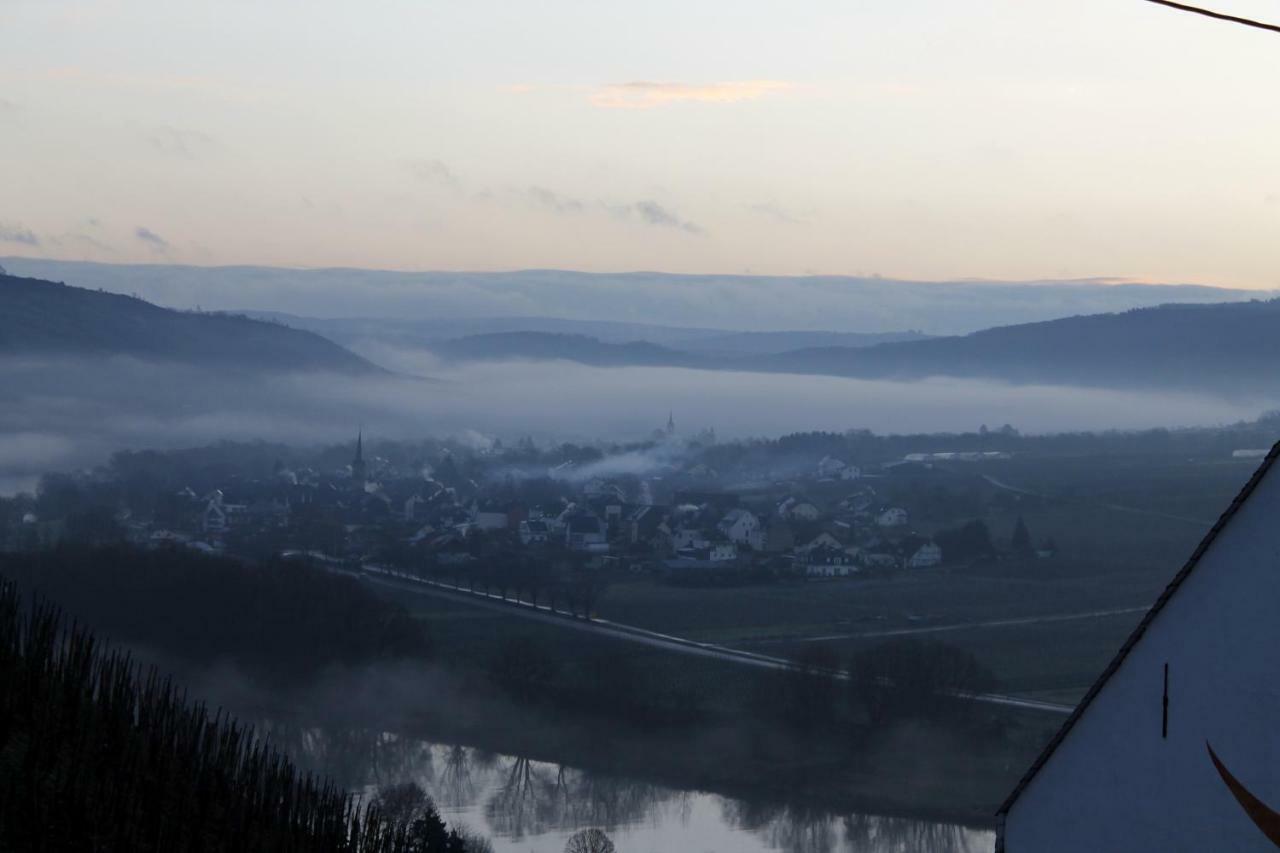 Ferienhaus Moselblick Mit Kostenfreien Oepnv-Ticket Ürzig Buitenkant foto